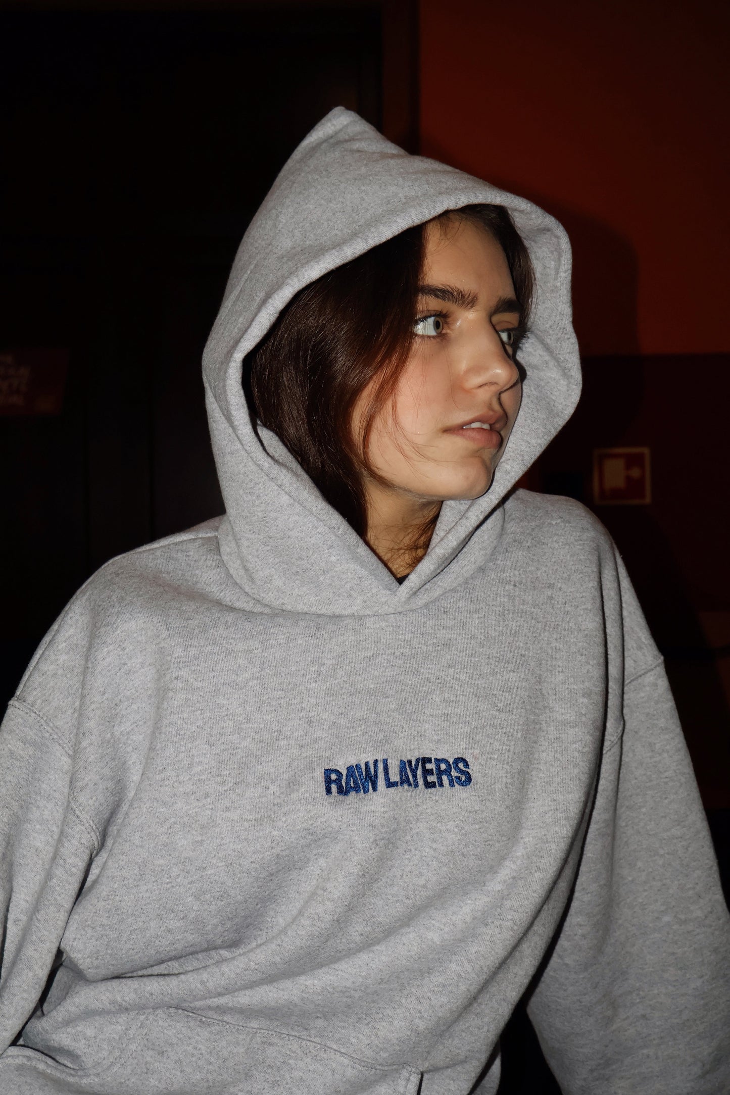 EVERYDAY CORE HOODIE GREY Novidades